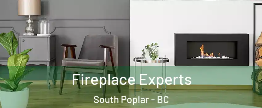  Fireplace Experts South Poplar - BC