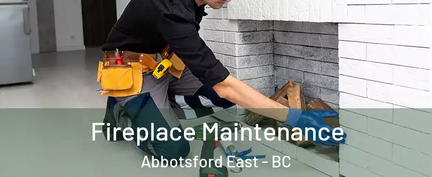  Fireplace Maintenance Abbotsford East - BC