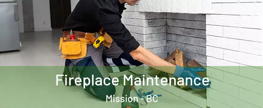  Fireplace Maintenance Mission - BC