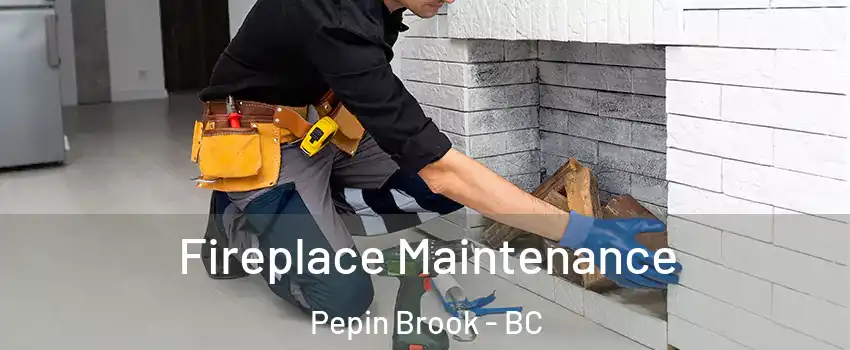 Fireplace Maintenance Pepin Brook - BC