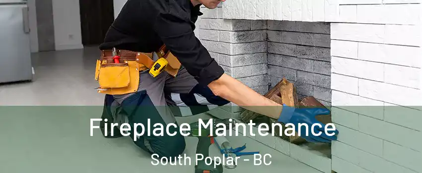  Fireplace Maintenance South Poplar - BC