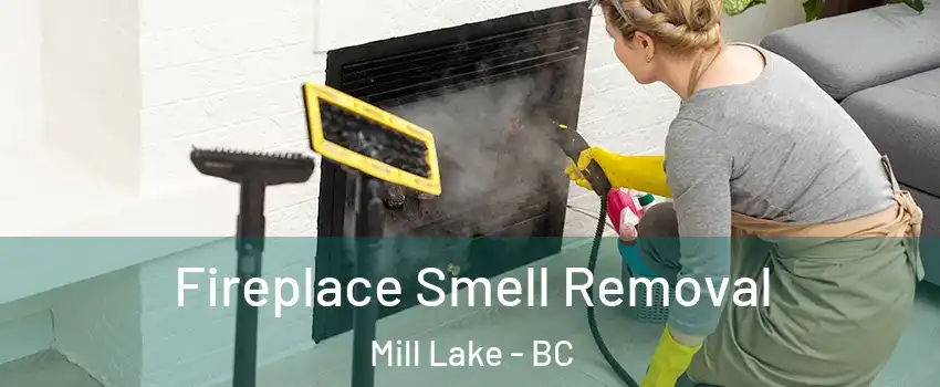  Fireplace Smell Removal Mill Lake - BC