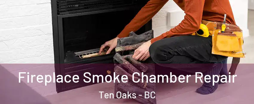  Fireplace Smoke Chamber Repair Ten Oaks - BC