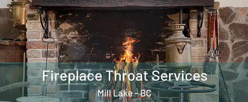  Fireplace Throat Services Mill Lake - BC