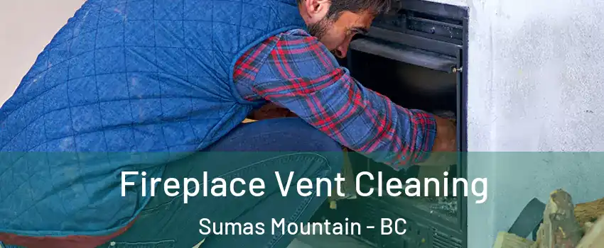  Fireplace Vent Cleaning Sumas Mountain - BC