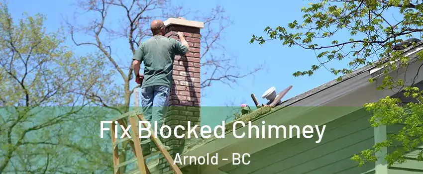  Fix Blocked Chimney Arnold - BC