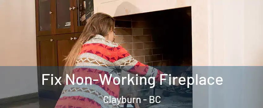  Fix Non-Working Fireplace Clayburn - BC