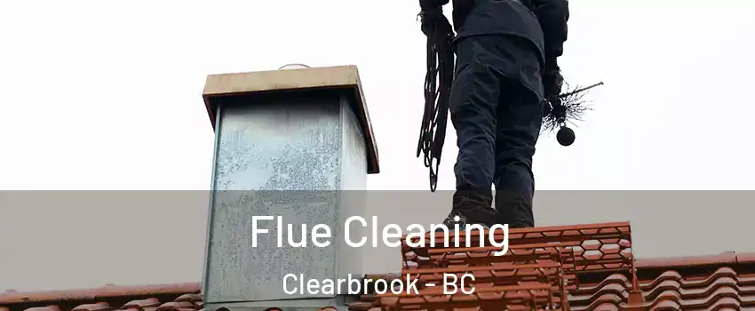  Flue Cleaning Clearbrook - BC