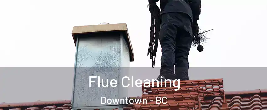  Flue Cleaning Downtown - BC
