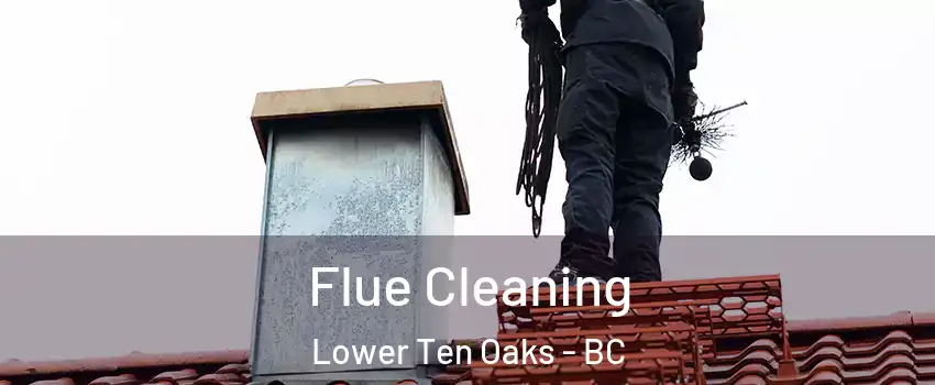  Flue Cleaning Lower Ten Oaks - BC