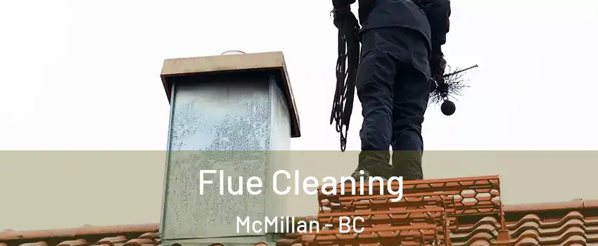  Flue Cleaning McMillan - BC