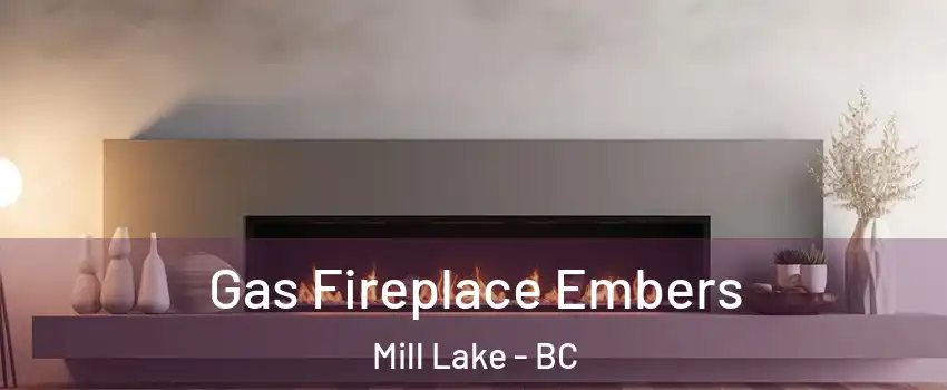  Gas Fireplace Embers Mill Lake - BC