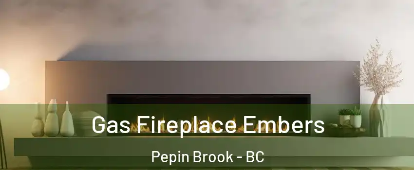  Gas Fireplace Embers Pepin Brook - BC