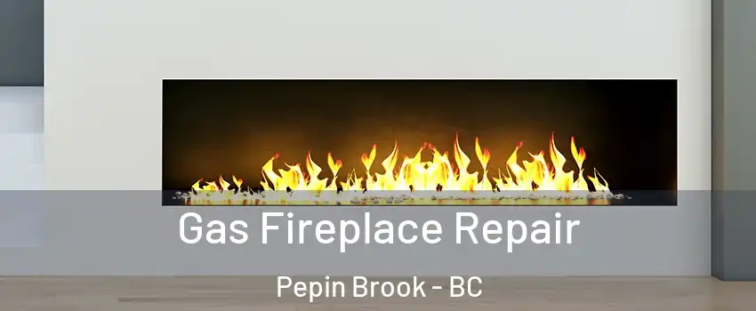  Gas Fireplace Repair Pepin Brook - BC