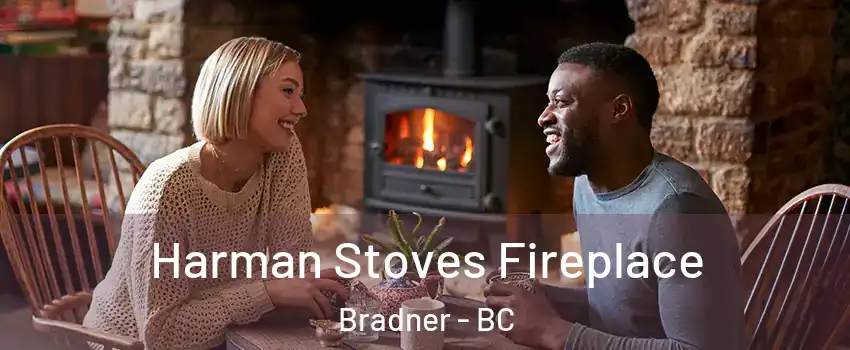  Harman Stoves Fireplace Bradner - BC