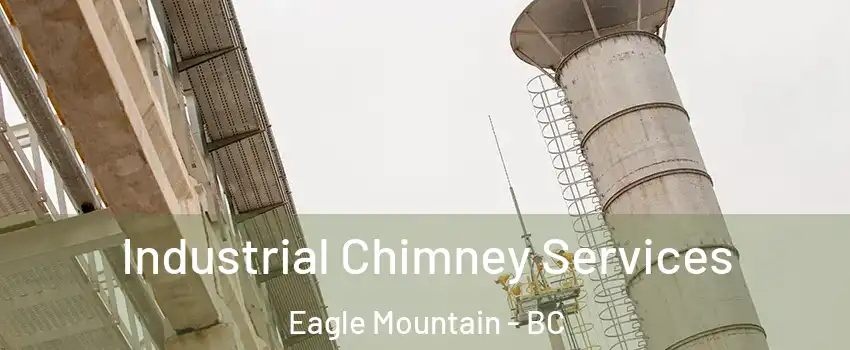  Industrial Chimney Services Eagle Mountain - BC