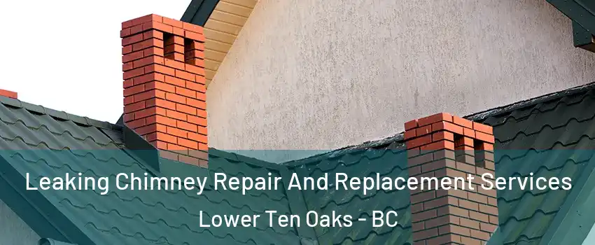  Leaking Chimney Repair And Replacement Services Lower Ten Oaks - BC