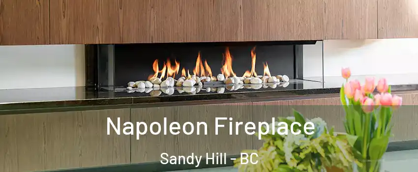  Napoleon Fireplace Sandy Hill - BC