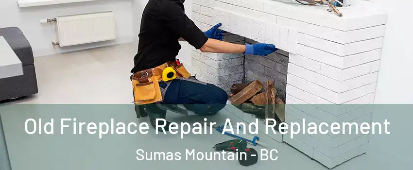  Old Fireplace Repair And Replacement Sumas Mountain - BC