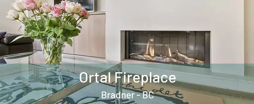 Ortal Fireplace Bradner - BC