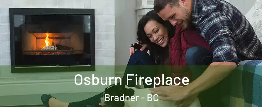  Osburn Fireplace Bradner - BC