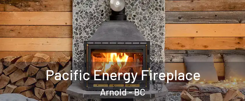  Pacific Energy Fireplace Arnold - BC