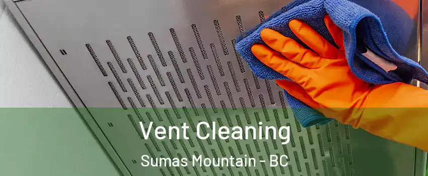  Vent Cleaning Sumas Mountain - BC