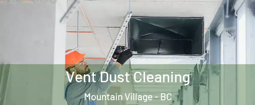  Vent Dust Cleaning Mountain Village - BC