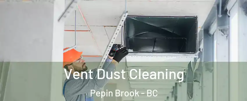  Vent Dust Cleaning Pepin Brook - BC