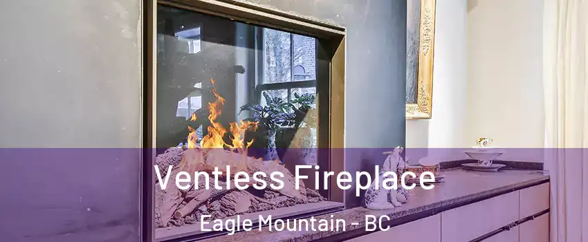  Ventless Fireplace Eagle Mountain - BC