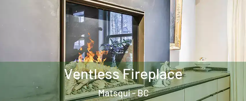 Ventless Fireplace Matsqui - BC